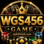 WGS456 Game